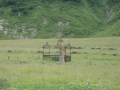 izobrazhenie-kiev-06.2014-825