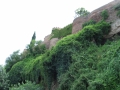 izobrazhenie-kiev-06.2014-890