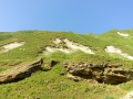 IMG_20170806_164738