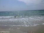 DSCF6942