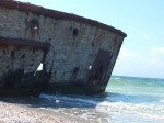 DSCF7081