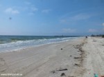 DSCF7198