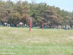 DSCF7249