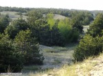 DSCF7345