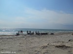 DSCN1258
