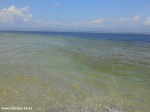 DSCN1327