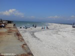 DSCN1348