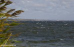 DSC_4200