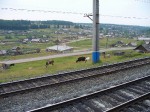 Дорога