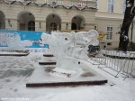 DSC05856