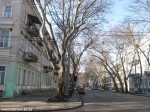 Izobrazhenie007