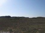 Izobrazhenie293