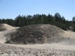 Izobrazhenie349