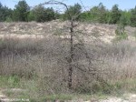 Izobrazhenie360