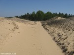 Izobrazhenie368