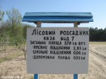 Izobrazhenie409