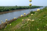 Река Ингулка