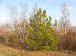 IMG_3971