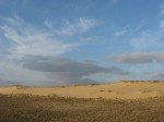 IMG_3973