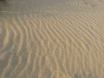 IMG_3981