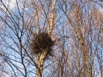 IMG_3982