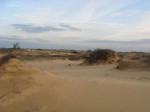 IMG_4002