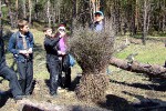 ПВД в Алешковские пески 18.04.2010