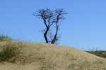 ПВД в Алешковские пески 18.04.2010