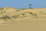 ПВД в Алешковские пески 18.04.2010