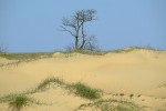 ПВД в Алешковские пески 18.04.2010