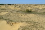 ПВД в Алешковские пески 18.04.2010
