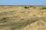 ПВД в Алешковские пески 18.04.2010