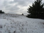 IMG_7738