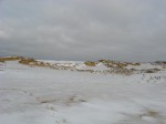 IMG_7752
