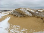IMG_7806