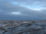 IMG_7832