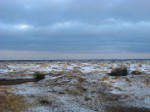 IMG_7834