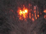 IMG_7847