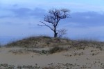 DSCF0100