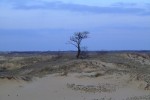 DSCF0115