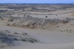 DSCF0117