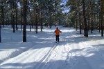 DSCF3877