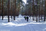 DSCF3878