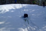 DSCF3896