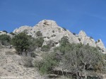 Izobrazhenie025