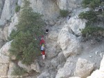 Izobrazhenie061