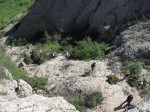 Izobrazhenie124