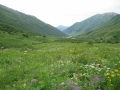 izobrazhenie-kiev-06.2014-229