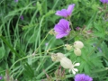 izobrazhenie-kiev-06.2014-233