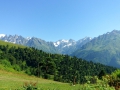 IMG_20170726_100615